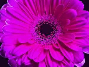 Écran <span class=keywords><strong>Fresnel</strong></span> <span class=keywords><strong>Fengmi</strong></span> F2 100 pouces Alr Ust Écran 16:9 Écran de projection Alr - Product Image 6