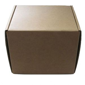 Custom wholesale styrofoam fish shipping box