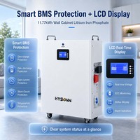 Batterie domestique grande capacité Hysonn 51.2V 230Ah 11.77kWh, lithium fer phosphate, pour armoire murale, pour sauvegarde PV et alimentation des entrepreneurs, OEM
