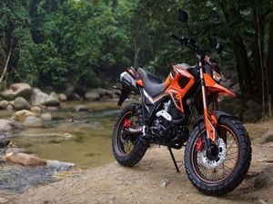 <strong>TEKKEN</strong> 200CC <strong>250CC</strong> <strong>MOTORCYCLE</strong> No.2209004 - Product Image 4