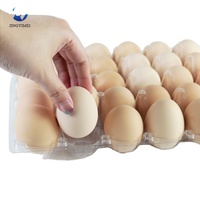 Boîtes à œufs en plastique transparentes à 12/30 alvéoles, boîtes de rangement pour œufs en plastique, barquettes pliables en plastique PET