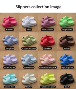 Superbes Claquettes Les Pantoufles De Femme – Dernières Chaussures et Sandales pour Femmes, Claquettes de Luxe Personnalisées de Haute Qualité, Modèles Unisexe de Créateur - Product Image 2