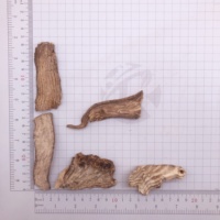 1143 Shang Lu tranches de pokeberry de haute qualité plante d'herbe chinoise Phytolacca Acinosa racine de poke