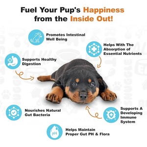 Probiótico <span class=keywords><strong>para</strong></span> Mascotas en Pellets Blandos Más Vendido OEM ODM - PROBIÓTICO <span class=keywords><strong>PARA</strong></span> CACHORROS - Pellets Blandos Calmantes <span class=keywords><strong>para</strong></span> Mascotas - Product Image 2