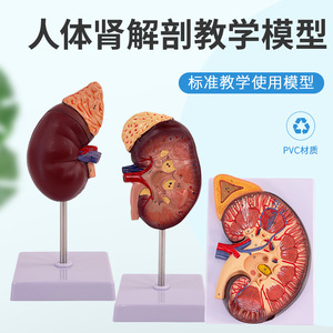 3 - Product Image 2