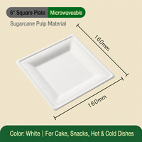 Assiettes carrées et plateaux ovales jetables en bagasse – Vaisselle en pulpe de canne à sucre en gros pour fêtes, restaurants et traiteurs