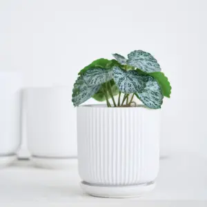 Wholesale Modern Style Home Decoration Matt Glazed Flower Pot Ceramic Plant Pot With Dish