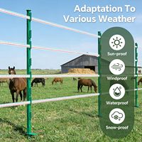 Hoogspannings elektrische weideomheining polytape voor rundvee, paarden en polytape elektrische omheining