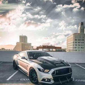 Capot avant en fibre de carbone de style TF pour <span class=keywords><strong>Ford</strong></span> <span class=keywords><strong>Mustang</strong></span> 2015-2017 couvercle de capot moteur avant Bodykit - Product Image 6