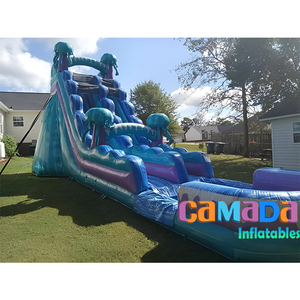 Toboggan gonflable d'<span class=keywords><strong>été</strong></span> Jellyfish Toboggan en PVC de qualité commerciale avec toboggan de piscine pour enfants <span class=keywords><strong>Location</strong></span> de fêtes pour adultes - Product Image 1