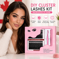 Kit Completo de Extensiones de Pestañas 5D W de Marca Privada, Adhesivo, Sellador, Removedor, Pinzas, Pelo Sintético Hecho a Mano, Libre de Crueldad Animal, para Marcas de Belleza