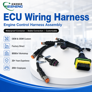 맞춤형 ECU 와이어 하네스 엔진 제어 케이블 어셈블리 방수 커넥터 OEM - Product Image 1