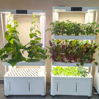 Système de culture hydroponique verticale intelligent pour légumes, culture hors-sol, multi-niveaux, pour usage domestique, pour la culture de semis et de légumes