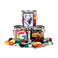 Boîtes d'emballage cylindriques en fer blanc imprimées sur mesure, mini-boîtes transparentes pour bonbons, biscuits et snacks avec poignée