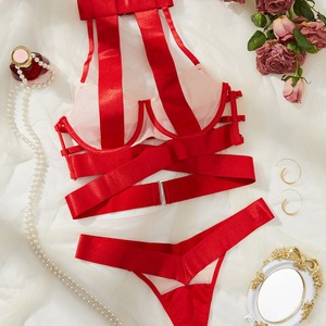 Ensemble de lingerie romantique populaire européen et américain en tissu maillé transparent, décolleté et à dos élégant - Product Image 1