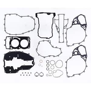 Kit complet de joints d'étanchéité (joints d'huile non inclus) - Product Image 1