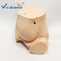 Simulateur d'accouchement avancé avec modèle de dilatation cervicale en 5 étapes pour laboratoire de compétences obstétricales CE ISO ROHS CNAS
