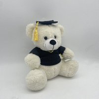 Ours en peluche personnalisé en usine avec chapeau de docteur, ours en peluche pour la remise des diplômes, cadeau de saison de remise des diplômes