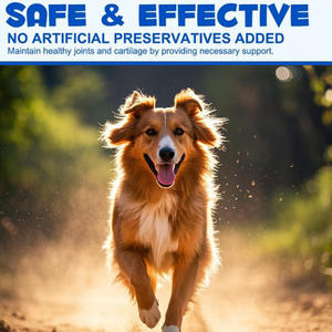 Vente en gros de supplément sain pour chien 60ml Goutte de liquide pour la hanche et les articulations Prévenir et traiter le supplément d'entérite pour chiens et chiots chats - Product Image 6