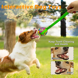 Jouets à mâcher interactifs pour chiens en mousse EVA durable et écologique, balle de 7 cm avec corde, style moderne, motif uni, pour l'exercice en extérieur - Product Image 6
