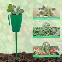 10 pièces racines nues fraise plantes outils de culture fraise semis élevage Pot fraise racines Propagation Station tasse
