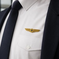 Broche personnalisée écologique en métal imprimé UV, motif ailes d'avion, plaqué or, relief 3D, cadeau pour pilotes