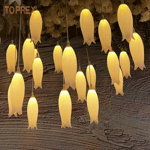 Toprex可定制项目尺寸发光二极管天花板挂灯蝴蝶和吊灯形状，用于活动和婚礼装饰