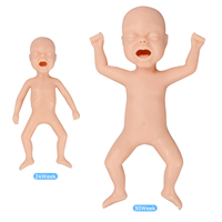 Maniquí de Silicona EZTRAIN para Entrenamiento de Inyección e Intubación, Modelo de Bebé Prematuro de 24 Semanas, Duradero, 3 kg