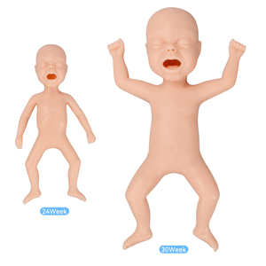 Modèle d'enfant prématuré de 24 semaines, <span class=keywords><strong>mannequin</strong></span> d'entraînement en silicone durable pour l'injection et l'intubation - Product Image 6