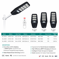 Lampadaire Solaire Extérieur DC Haute Luminosité IP65 Étanche 100W Tout-en-un avec Batterie LiFePO4 6500-7500K pour Jardin et Aménagement Paysager
