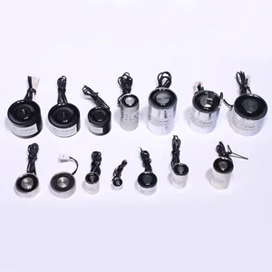 畅销工厂批发价格Dc 3v 6v 12v 24v迷你电磁铁小型强力电磁铁 - Product Image 1