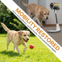 Appareil de rééducation pour chats atteints d'arthrose, infrarouge, 300W, WIRA, pour table d'opération