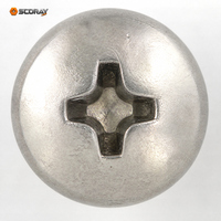 Vis autotaraudeuses à tête cruciforme Phillips en acier inoxydable 201 TA M3 M3.5 M4 M4.5 M5 6mm-45mm métriques résistantes à la corrosion