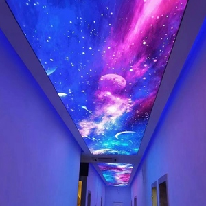 Fábrica Popular Hermosa Pintura <span class=keywords><strong>de</strong></span> <span class=keywords><strong>pared</strong></span> Tela <span class=keywords><strong>de</strong></span> <span class=keywords><strong>pared</strong></span> techo <span class=keywords><strong>de</strong></span> <span class=keywords><strong>tragaluz</strong></span> natural artificial - Product Image 2