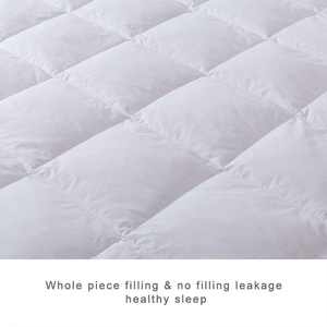 <span class=keywords><strong>Couette</strong></span> haute puissance de remplissage 100% coton <span class=keywords><strong>couette</strong></span> de remplissage <span class=keywords><strong>couette</strong></span> d'hiver <span class=keywords><strong>Eider</strong></span> pour la maison - Product Image 3