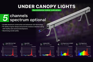 Nouveau lancement 125W + 25W auvent LED élèvent la lumière haut rouge lointain UV BSCI ISO certifié pour câble de connecteur Bloom vendu séparément - Product Image 6
