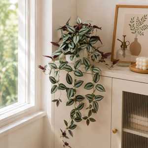 Plante artificielle An Yun en forme d'araignée, 80 cm, plante grimpante en soie, décoration intérieure, vert, rose, rouge, vert foncé, avec ou sans pot - Product Image 4