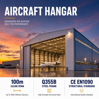 Hangar para Helicópteros, Estructura de Acero, Hangar de Aviación, Almacenamiento de Helicópteros, Mantenimiento y Reparación, Instalación Aeroportuaria