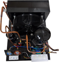 Unité de condensation pour congélateur rapide 20-50HP, compresseur semi-hermétique refroidi par air