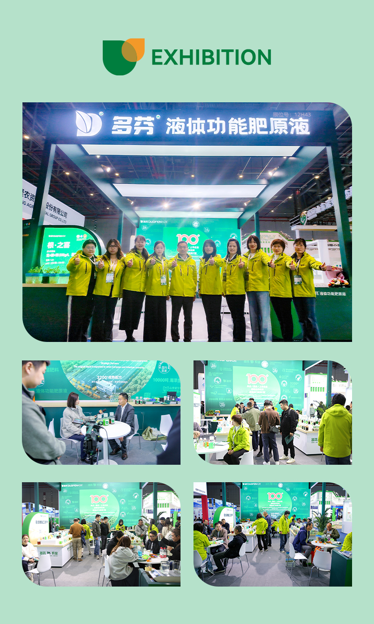 150g/L Liquid Boron Fertilizer for Durian | OEM Manufacturer image 5