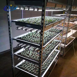 ग्रीनहाउस नर्सरी संयंत्र परिवहन चार पहिया पोर्टेबल उपकरण ओएम स्टेनलेस स्टील ट्रॉली 600 किलोग्राम भार क्षमता के साथ - Product Image 6