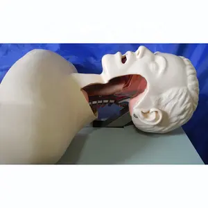 Hochwertiger elektrischer Endotracheal-Intubation strain ings simulator, Intubation modell