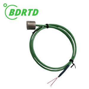 उच्च परिशुद्धता rtd pt100/pt1000 चुंबकीय तापमान सेंसर फैक्टरी प्रत्यक्ष - Product Image 2
