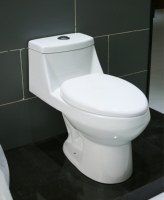 WC avec piédestal et lavabo intégré, prix compétitif, pour grossistes en sanitaires, suite de sanitaires