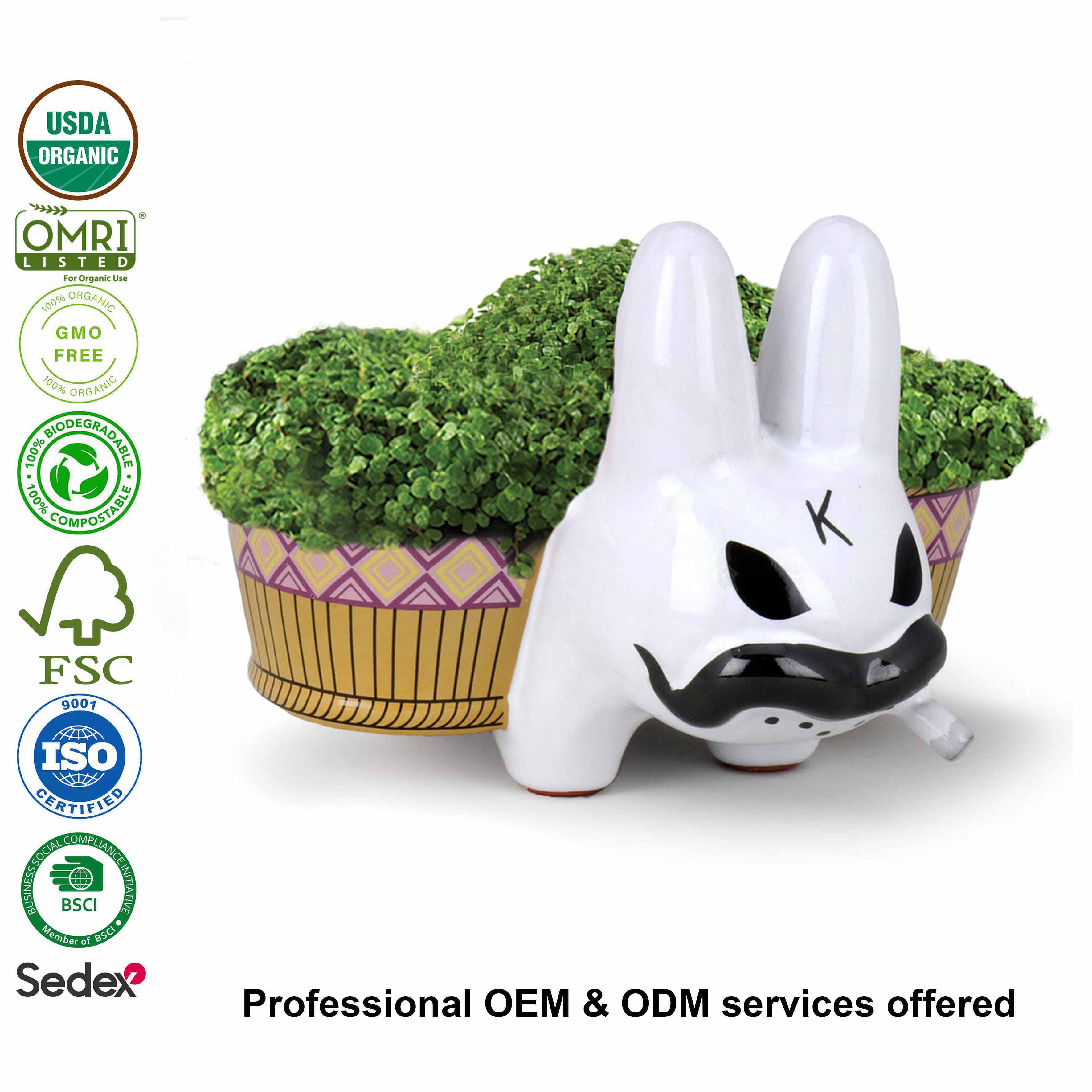 Custom Ceramic Anime Chia Pet White Smorkin Labbit by