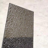 Panneau de polycarbonate en relief antidérapant de 5mm résistant aux chocs panneau de marche industriel Durable pour les Applications de toit extérieur moderne