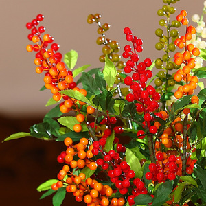 Décoration de fête du Nouvel An chinois à branche unique en plastique, fruits artificiels rouges, verts, oranges et blancs à 4 branches - Product Image 2