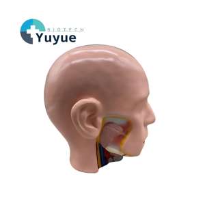 Modèle d'anatomie de l'artère crânienne humaine avec cerveau - Modèle de dissection de l'artère cérébrale pour l'enseignement de <span class=keywords><strong>la</strong></span> <span class=keywords><strong>neurosciences</strong></span> - Product Image 1