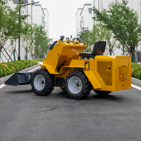 Mini-chargeuse compacte SDLOT sans cabine, moteur Yanmar, certifiée CE EURO5, polyvalente pour le désherbage des vergers, la maintenance des allées fruitières et la maintenance des chaussées.