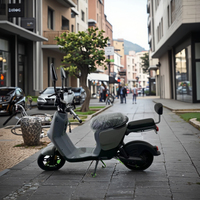 Trottinette Électrique à Deux Roues en Gros d'Usine 500W 48V avec Cadre en Acier Carbone et Système Intelligent Électronique pour Adultes Utilisation Urbaine